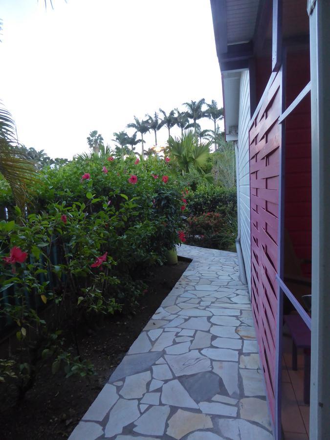 Coco Bungalows Sainte-Rose Exterior photo